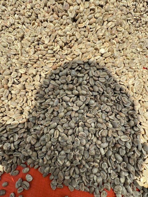 High Quality Arabica Green Coffee Beans