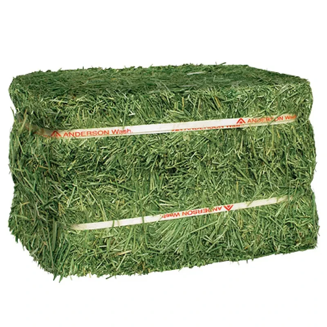 Alfalfa Hay - High Protein Forage Feed