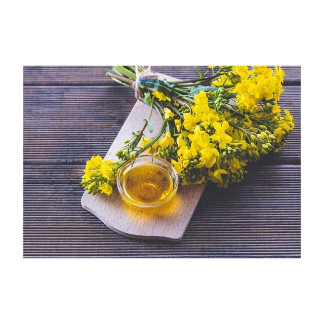 Refined Canola Oil Bottle
