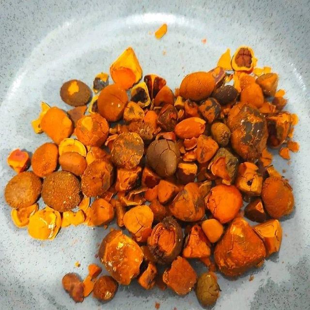 Cow Gallstone in Packaging
