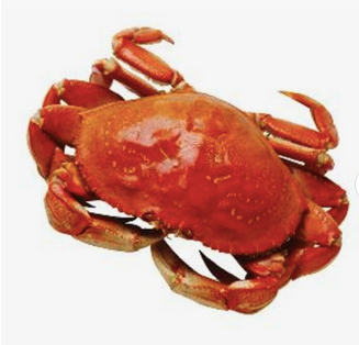 Frozen Whole King Crab