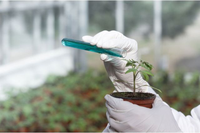 Agrochemical Products