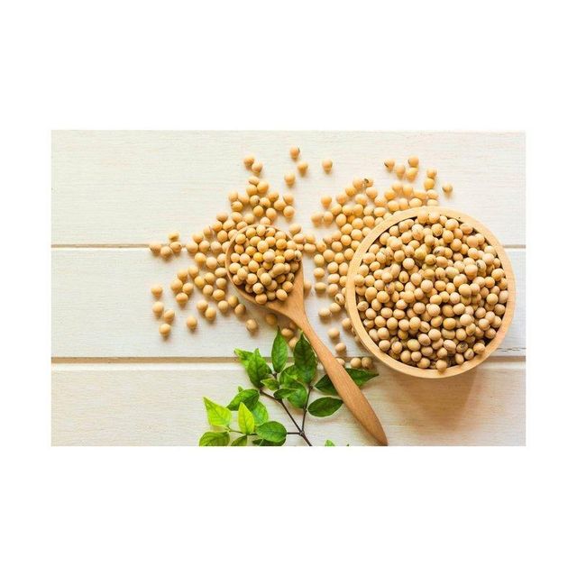 Premium Non-GMO Yellow Soybeans
