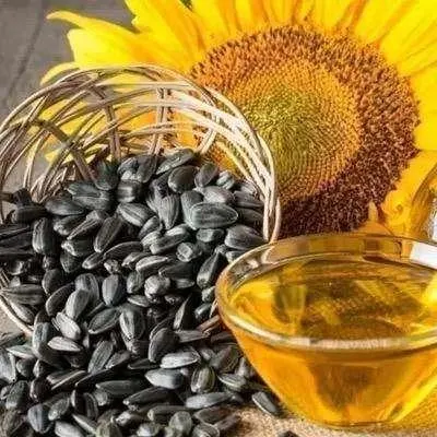 Industrial packaging drums filled with sunflower cooking oil