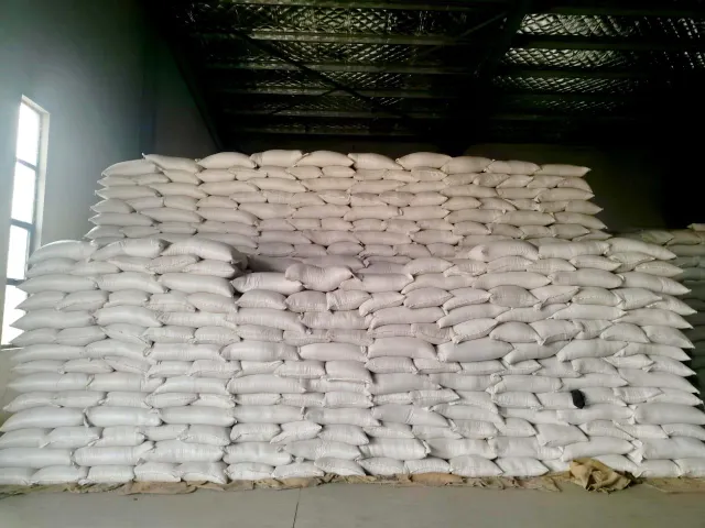 Bulk soyabean grains displayed