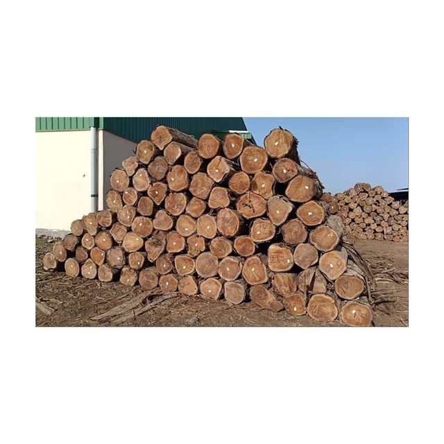 Strong Round Logs 1