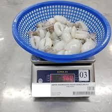 Frozen Whole Clean Baby Cuttlefish