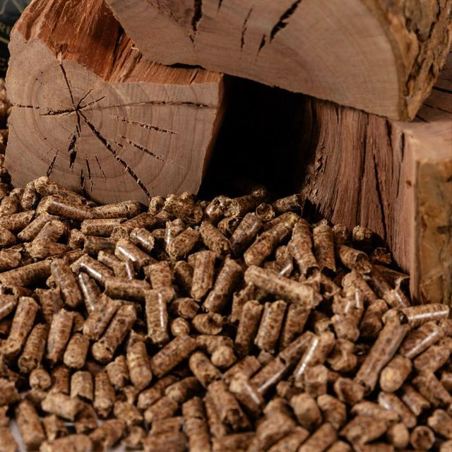 Ecofriendly Wood Pellet - Close-up