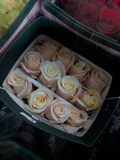 Mixed rose arrangement