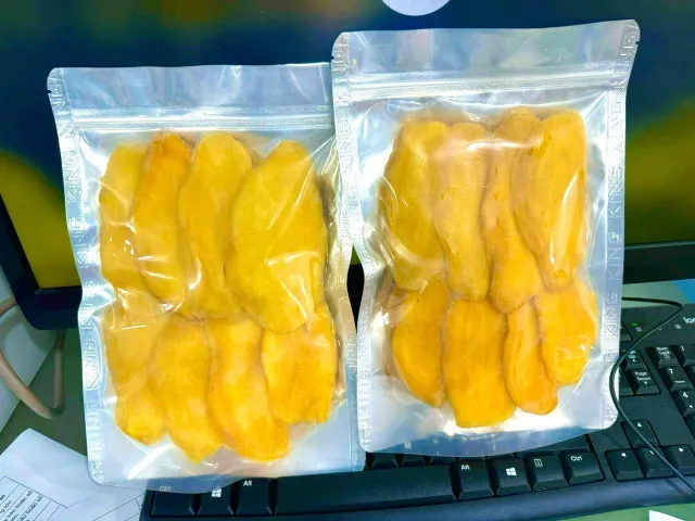 Premium Soft Dried Mango Slice