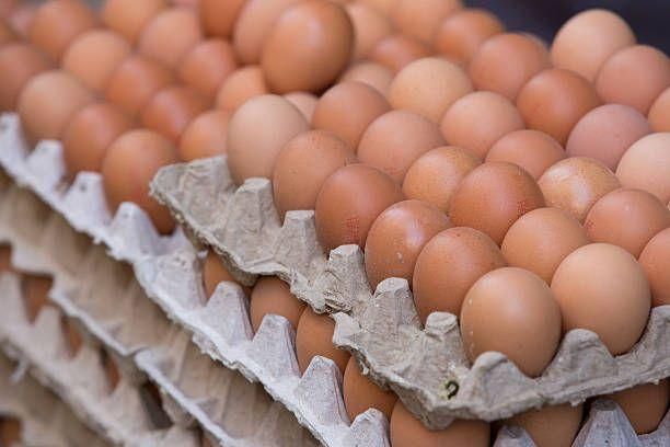 Cooked Chicken Table Egg with White Shell