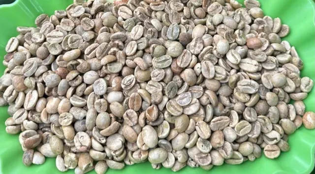Roasted Arabica Coffee Powder