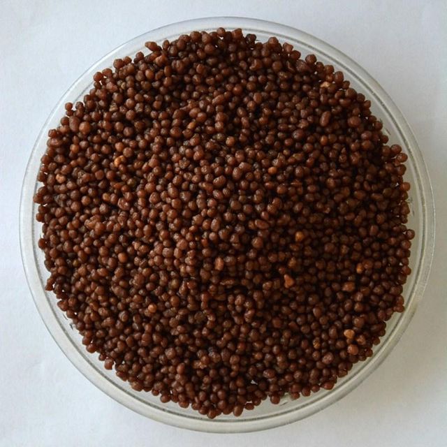 DAP Granular Fertilizer - Packaging