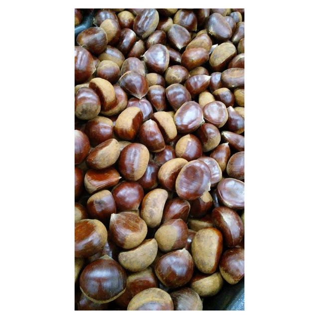 Fresh Raw Chestnuts Image 1