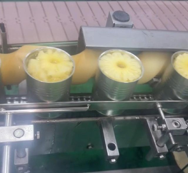 Canned Pineapple Image 4
