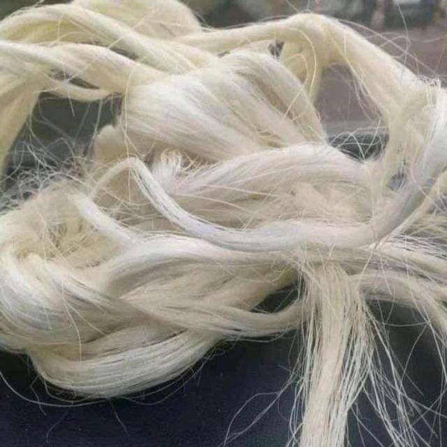 Sisal Fiber 1
