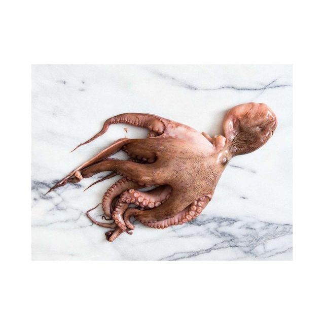Frozen Whole Octopus