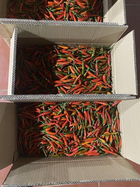 Frozen Chilli Image 3