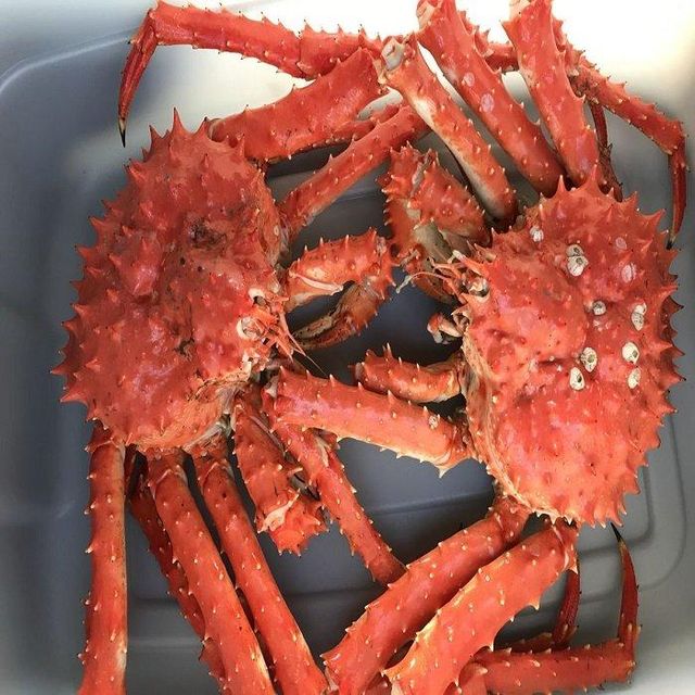 Frozen King Crab