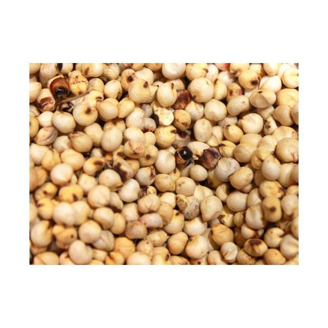 Premium Sorghum Grain