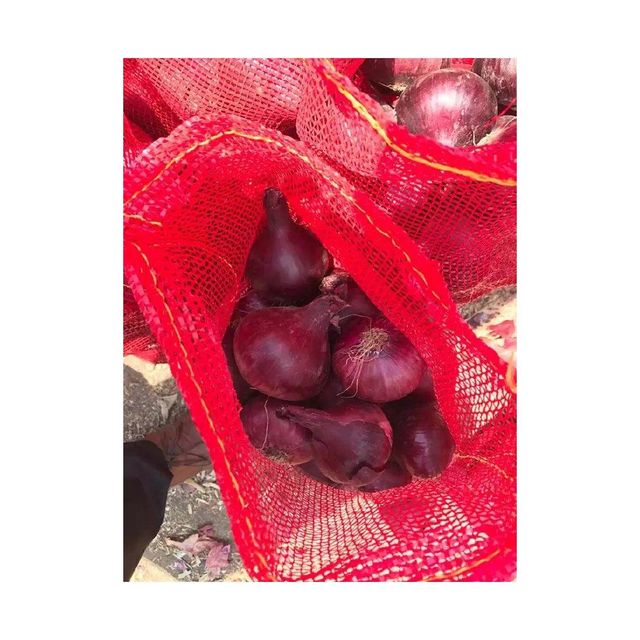 Crisp Red Onion Slices