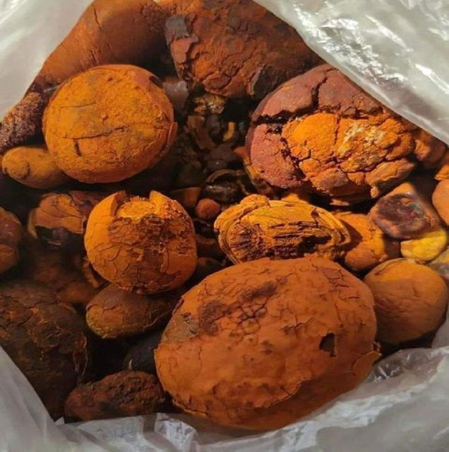 Hand-Picked Cattle Animal Extract