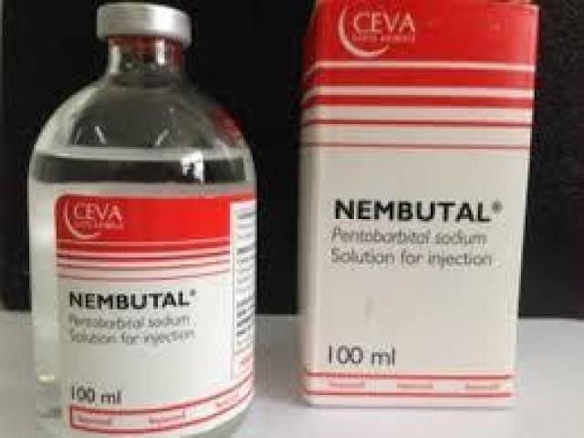 Sodium Pentobarbital Liquid