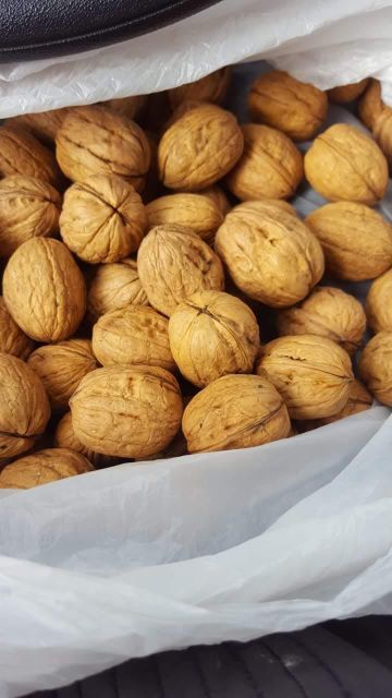 Organic Walnut Halves & Pieces