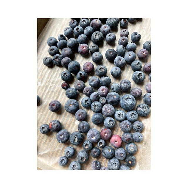 Blueberry Puree