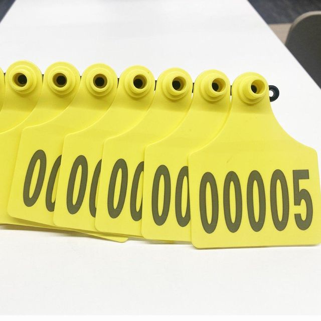 Large TPU Visual Ear Tag for Cattle