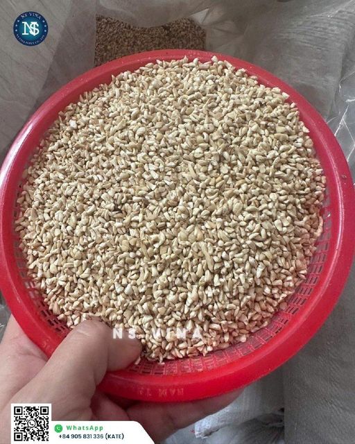 Cashew Nut W240 Grade