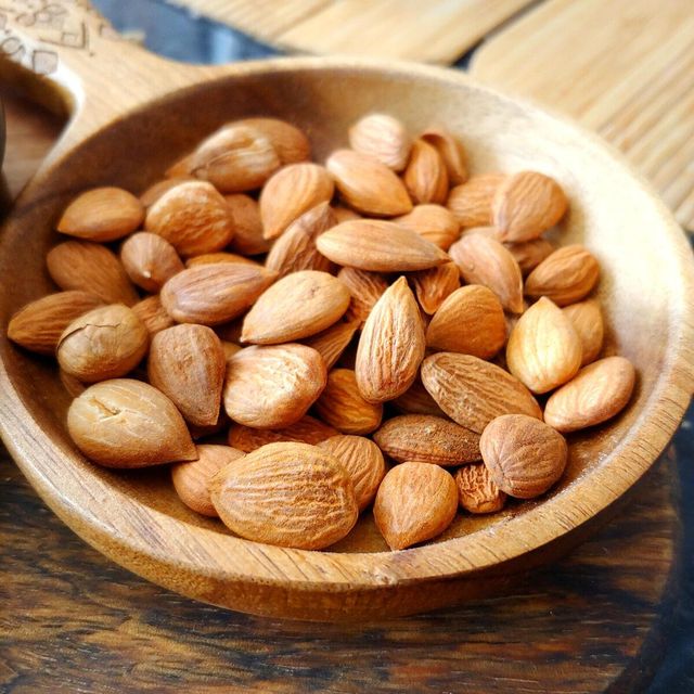 Apricot Kernels 1