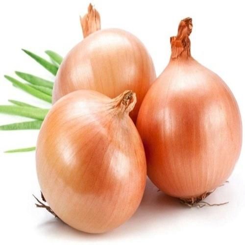 Yellow Onion 3