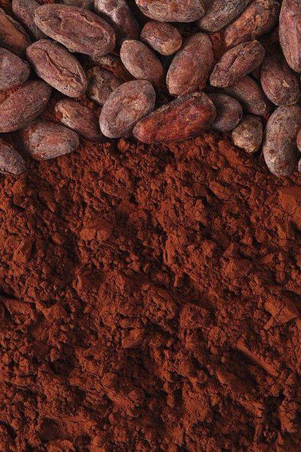 Organic Cocoa Powder
