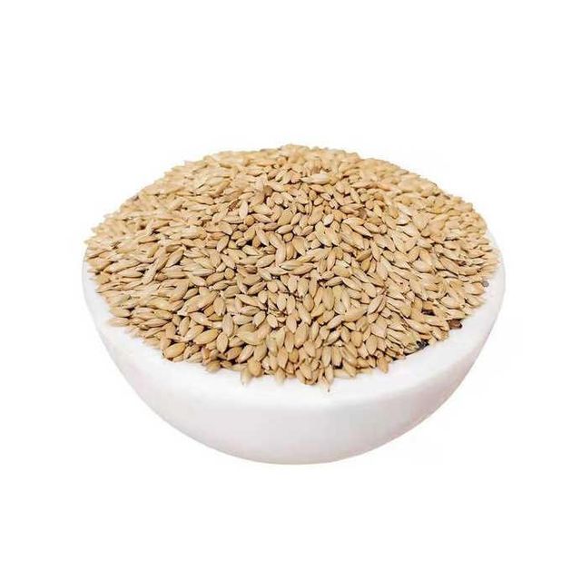 Bulk Canary Seed for Bird Feed