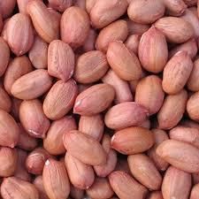 Groundnut Kernels Image 3
