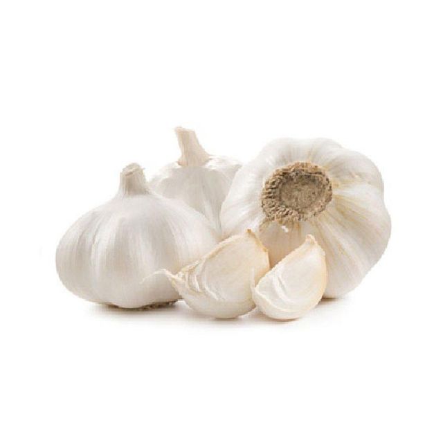 Fresh Garlic in Mesh Bag