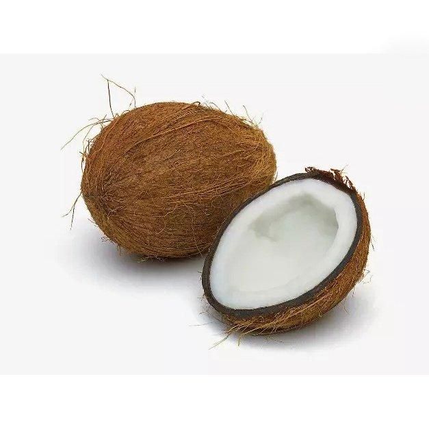 Fresh Coconut Image 1