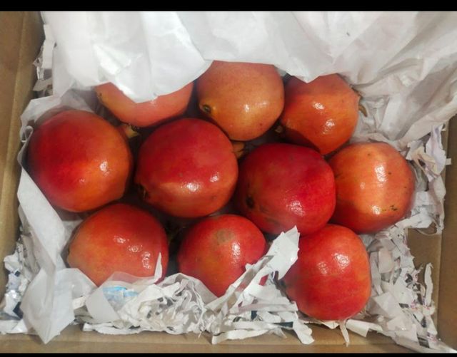 Pomegranate Product Image 2