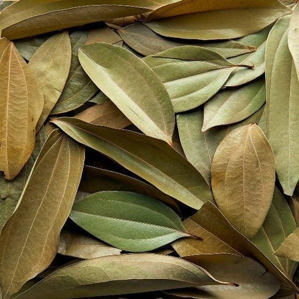 Cinnamon Leaf Essential Oil with Label