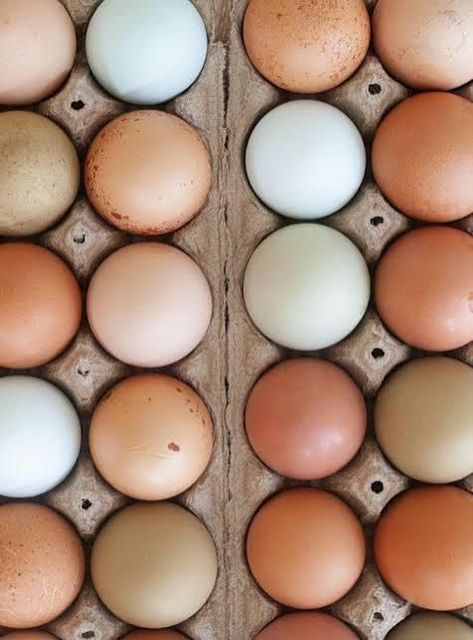 Various chicken eggs in packaging