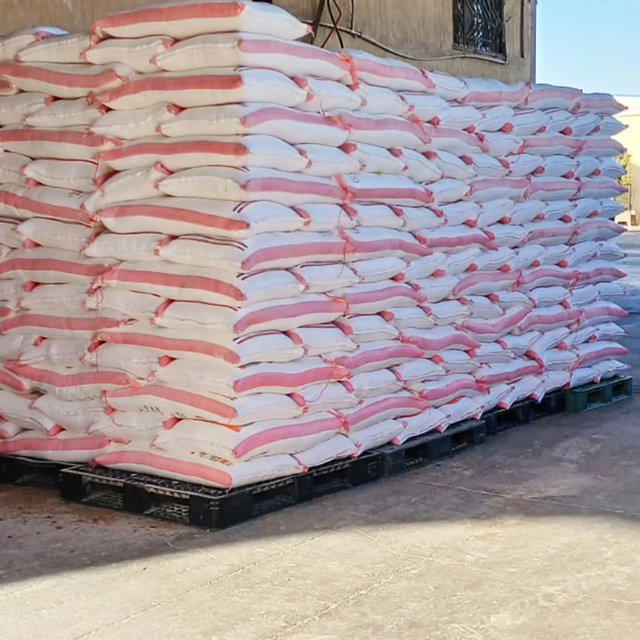 Premium High-Gluten Wheat Flour 50kg PP Bag