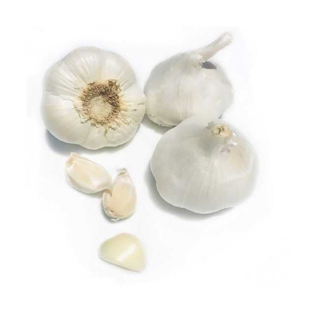 Pure White Garlic
