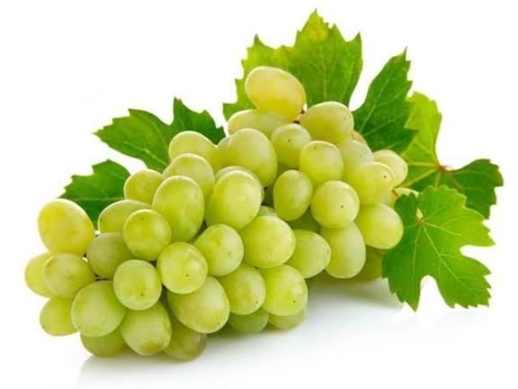 Grapes 2