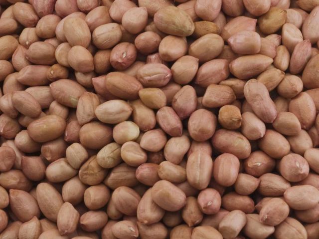 Peanut Product 2