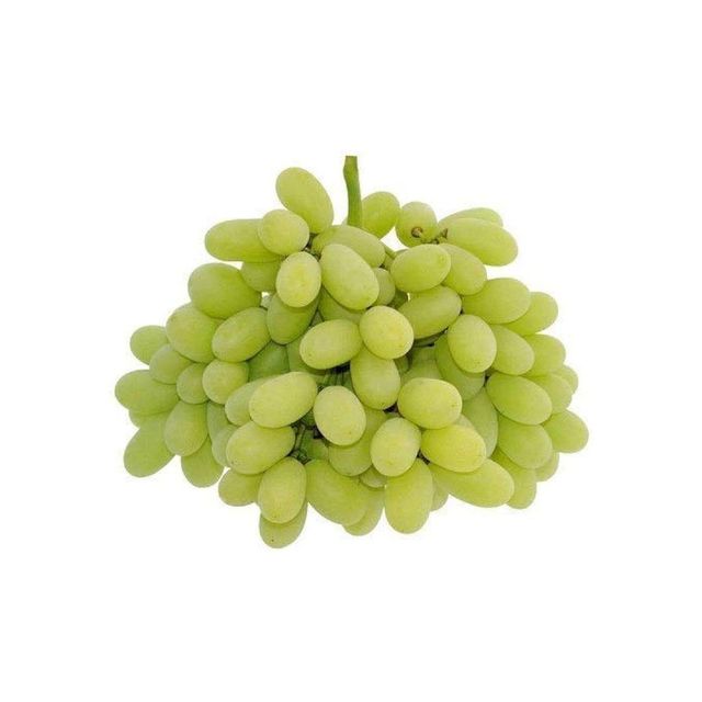 Bulk Grapes Supply