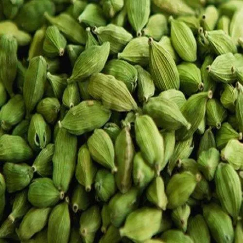 Green Cardamom Image 2
