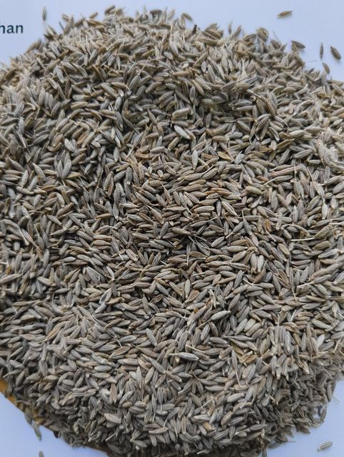 Cumin Seeds