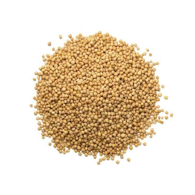 Natural Yellow Mustard Seeds