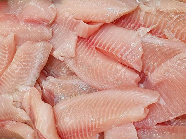 Frozen Fish Fillet 1